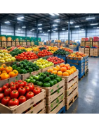 Fruits et légumes B2B : offres, achat et import-export | Olivaterra