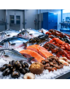 Produits de la mer B2B : poisson, crustacés et fruits de mer | Olivaterra